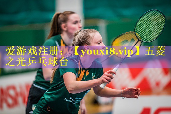 五菱之光乒乓球台
