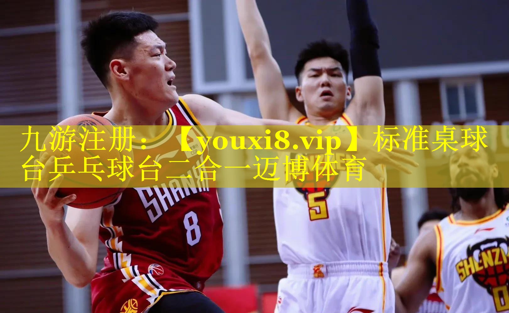 标准桌球台乒乓球台二合一迈博体育