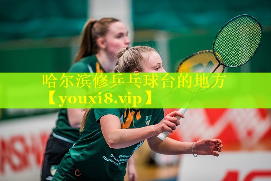 哈尔滨修乒乓球台的地方 哈尔滨修乒乓球台的地方