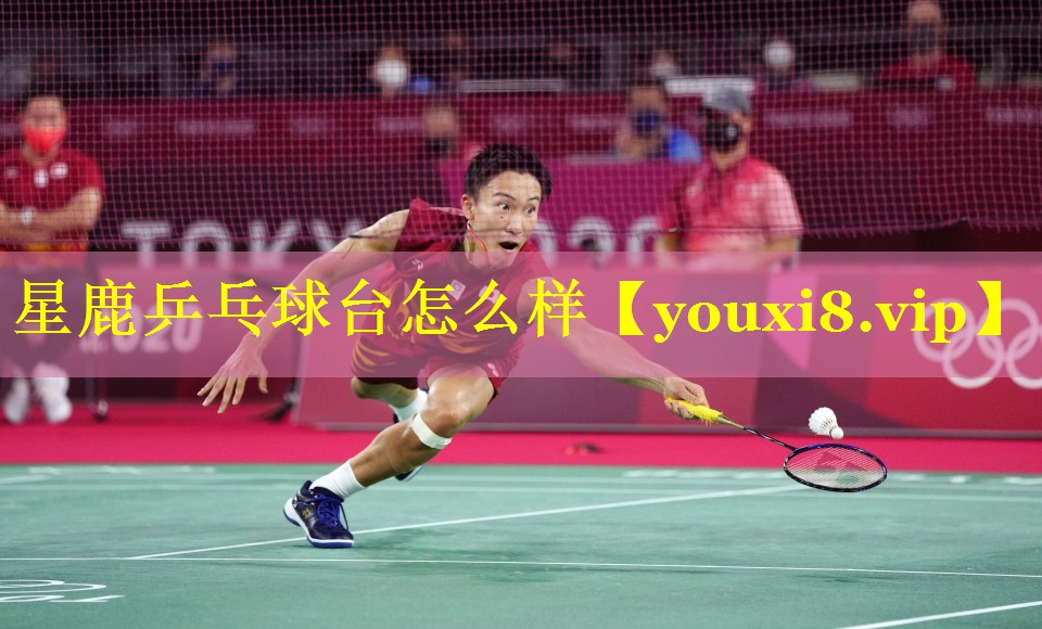星鹿乒乓球台怎么样 星鹿乒乓球台怎么样